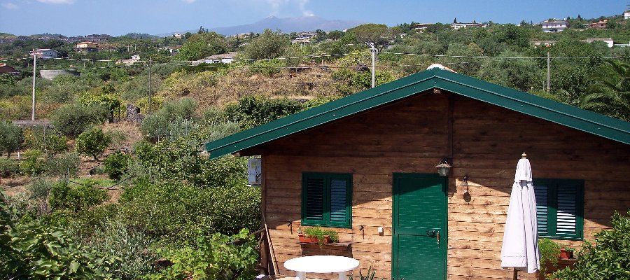 Css Template Preview