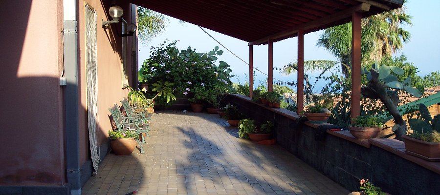 Css Template Preview