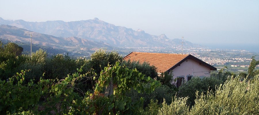 Css Template Preview