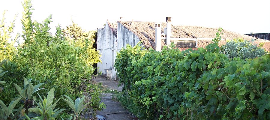 Css Template Preview