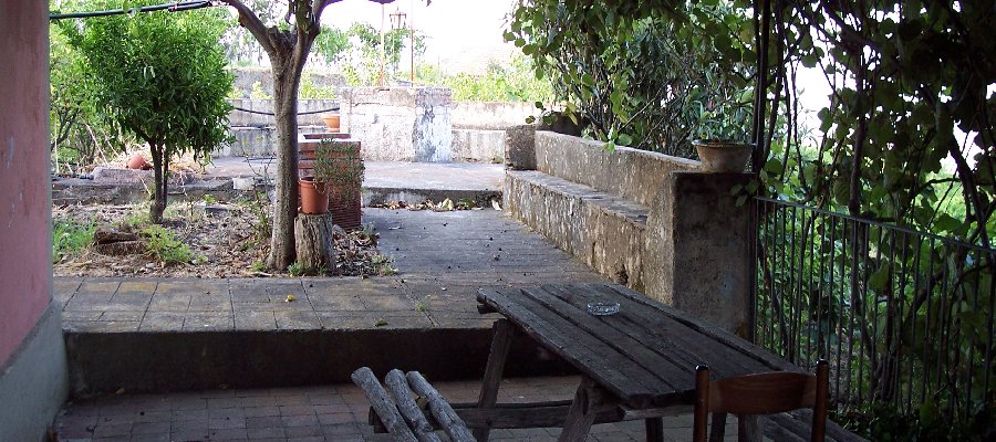 Css Template Preview