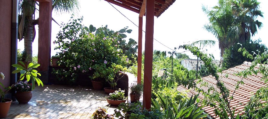 Css Template Preview