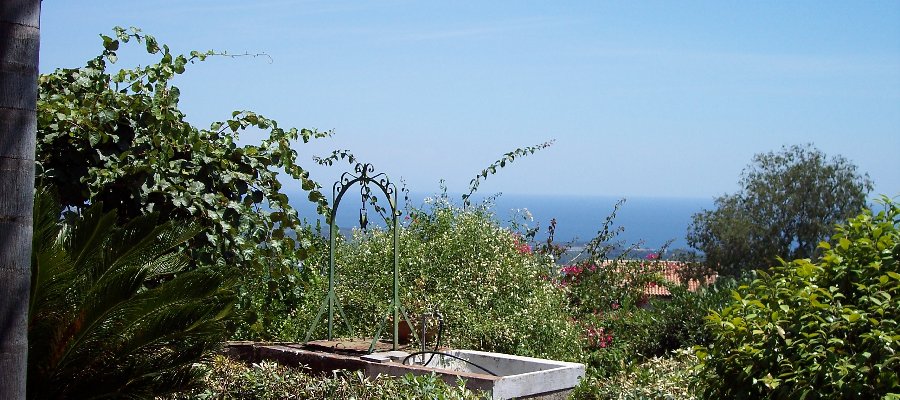 Css Template Preview